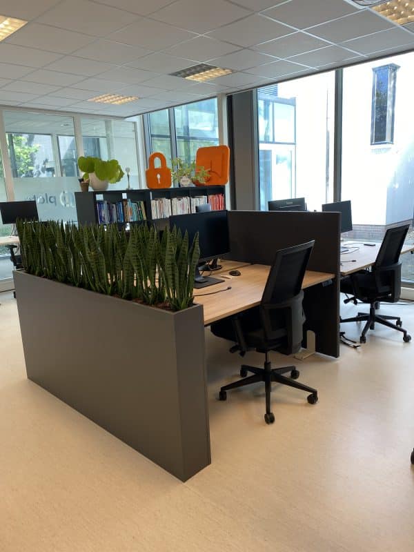 Twee werkplekken met daarnaast een lange grijze plantenbak met sanseviera's erin.