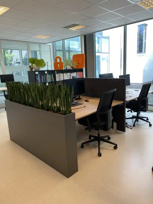 Twee werkplekken met daarnaast een lange grijze plantenbak met sanseviera's erin.