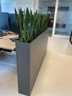 Grijze houten plantenbak in een kantoorruimte met groene vetplanten erin.