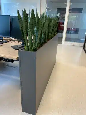 Grijze houten plantenbak in een kantoorruimte met groene vetplanten erin.