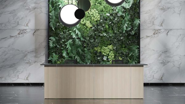 Receptiebalie Nova | Houtgroep 2
