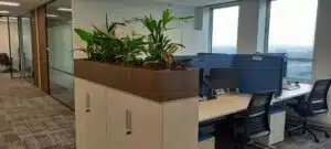 Witte schuifdeurkast met donker houten plantenbakken erop met groene planten erin.