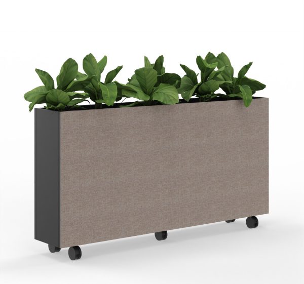 grijze verrijdbare plantenbak op wielen, met daarin drie groene planten.