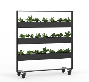 verrijdbare plantenbak voor op kantoor