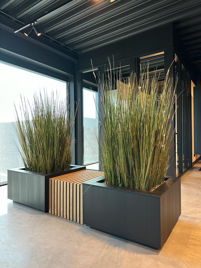 plantenbakken kantoor met hoge planten erin, houten latjes tussen de twee bakken