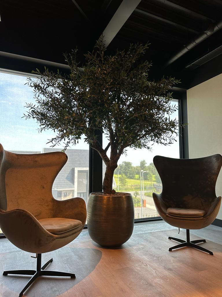 gouden pot met plant, tussen twee luie stoelen in het kantoor van De Rietdekker