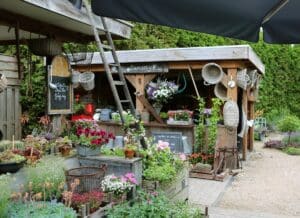 Tuin met een overdekt terras erin. 