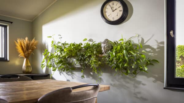 Metalen plantenbak voor aan de muur | Metalflowerbox - Afbeelding 4