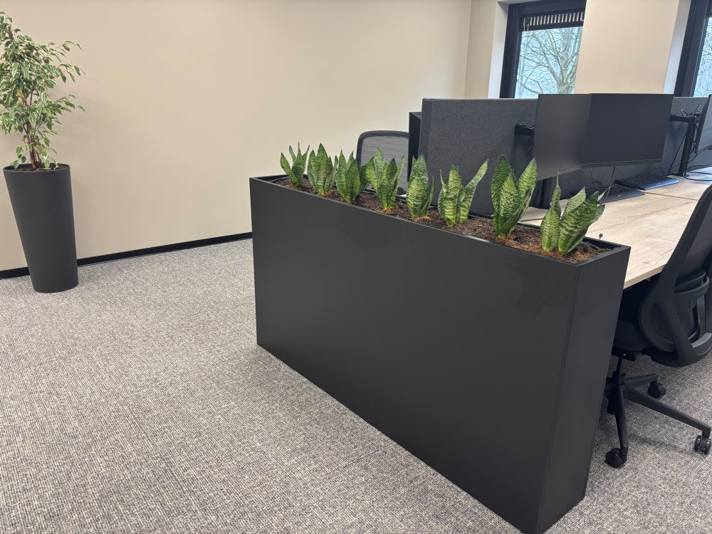 Zwarte hoge plantenbak met vetplanten erin.