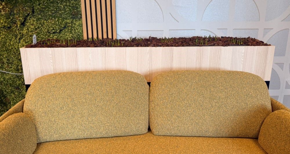 Gevulde plantenbak met planten achter groene kantoorbank.