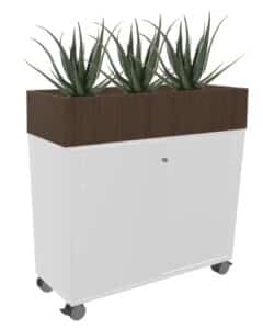 Witte verrijdbare plantenbak op een kast met vetplanten erin.