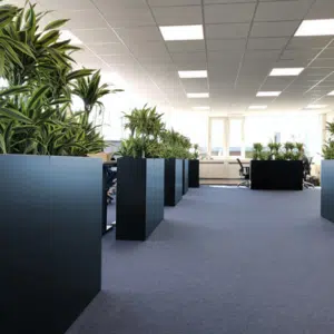 Houten plantenbak voor op kantoor 170x30x90cm in elke RAL kleur