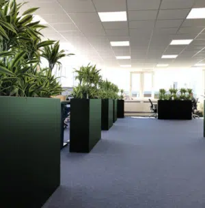 Groene plantenbakken in een kantoor.