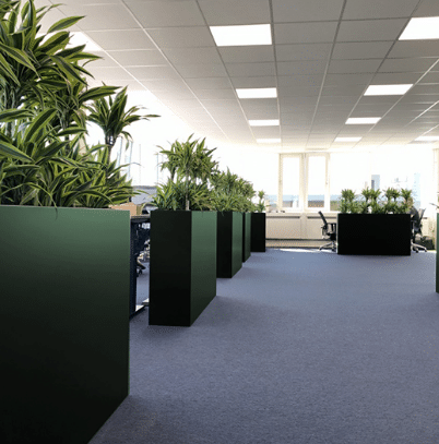 Groene plantenbakken in een kantoor.